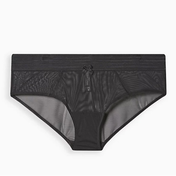 Torrid Sexy Mesh Hipster Panties! NWT! Size 1X - Picture 4 of 4
